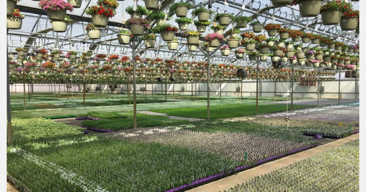 Michigan Greenhouse Growers Expo "easier than ever to attend"