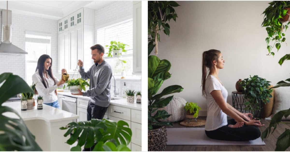 Danish company BotanIQ Lab becomes part of American based LiveTrends ...