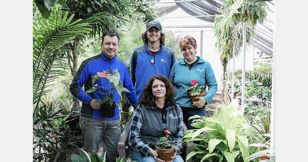 Small business spotlight Pemberton's greenhouses