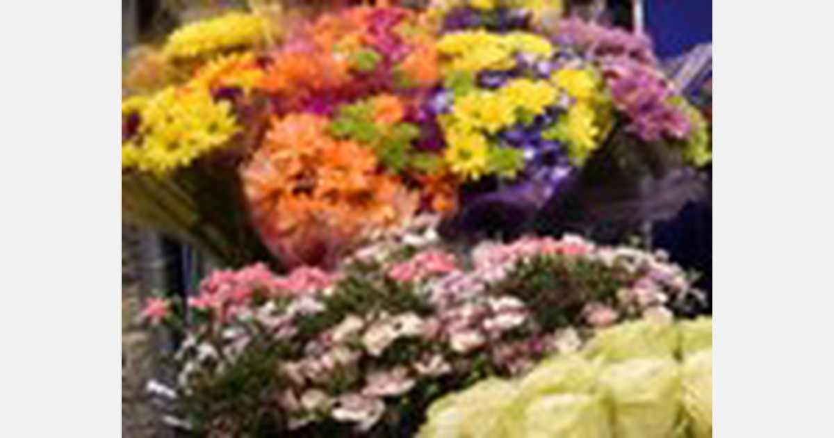 Flower Council of Holland announces selection for The Trend Collections