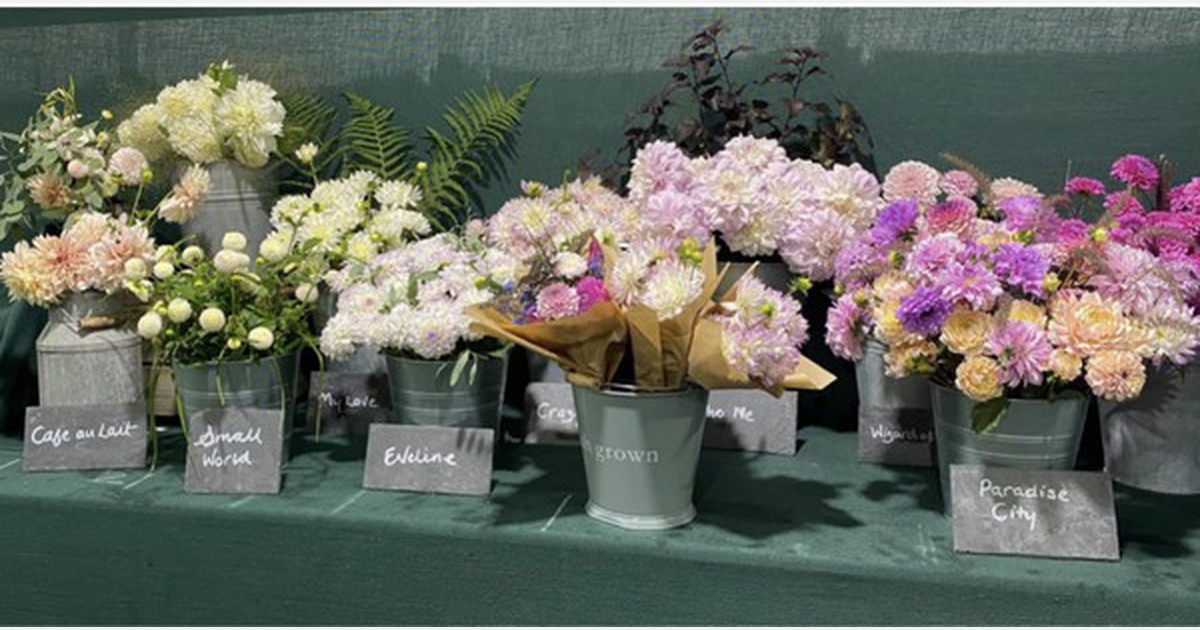 Showtime for UK flower farmers
