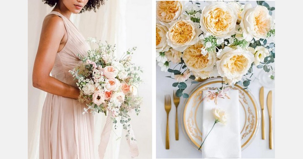 "The markup should reflect the perceived value of the flower"