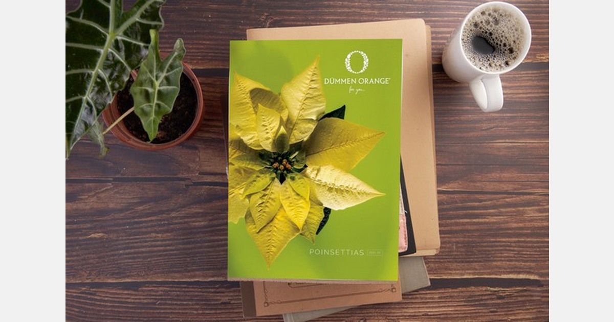 Dümmen Orange poinsettia catalog is ready to review