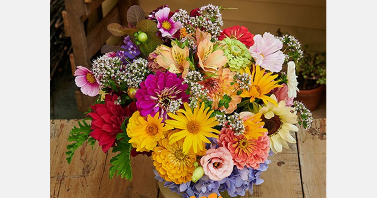 “Hours of flowers with Life in Bloom marathons and prime time on create TV”