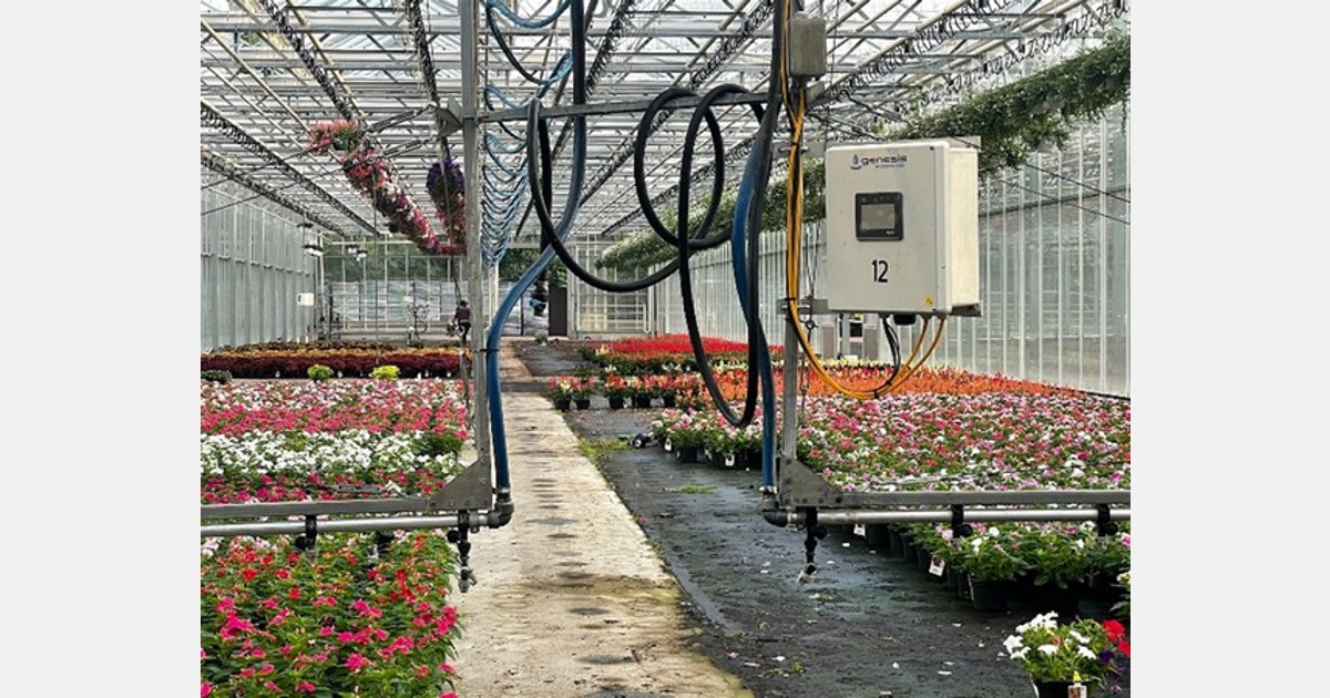 Hanging baskets watered by an innovative system