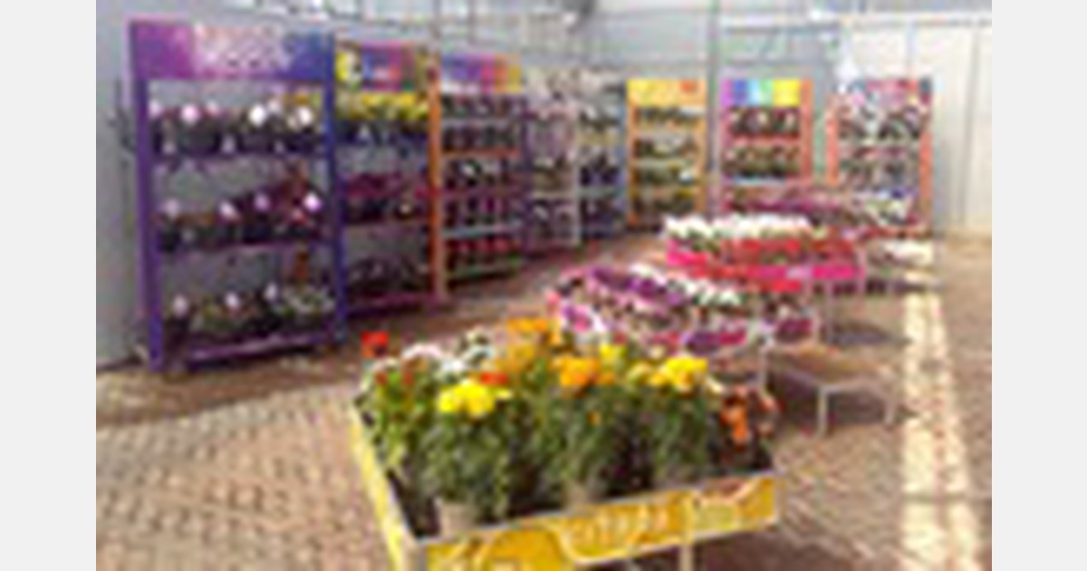 UK Ball Colegrave reveals top varieties for the 2023 season