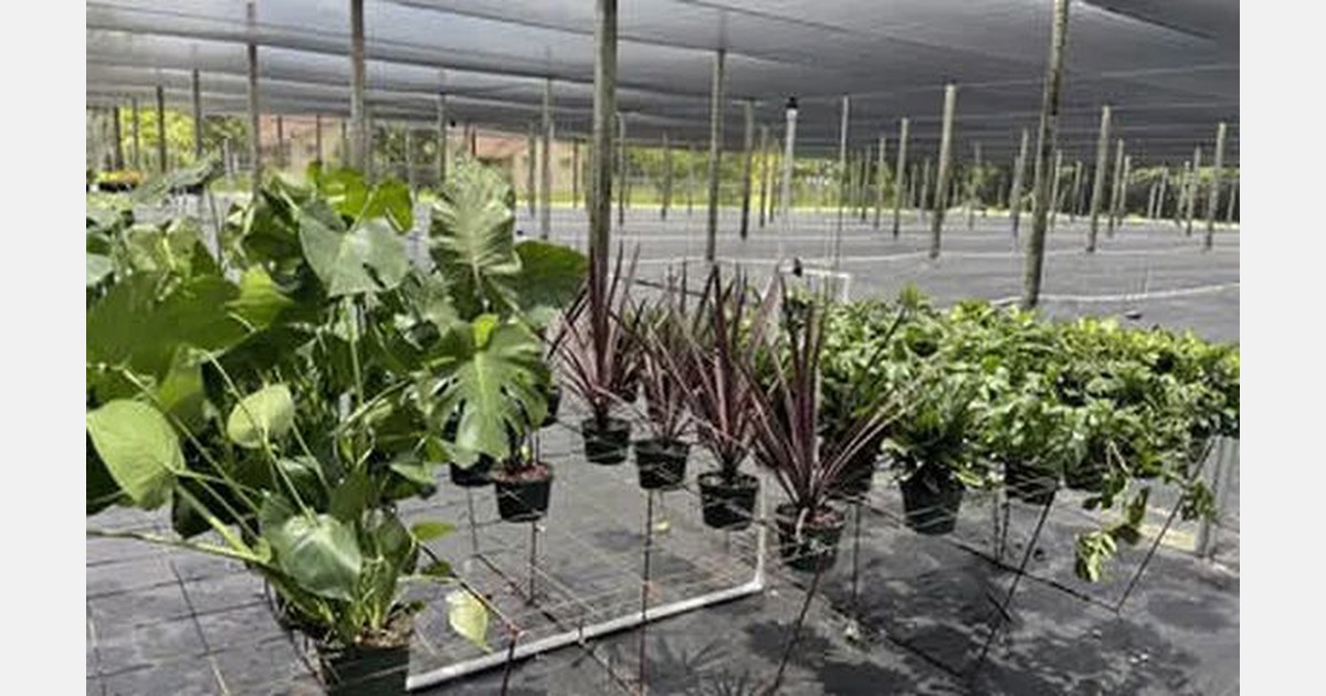 PlantVine receives approval to ship plants to California, opens second nursery