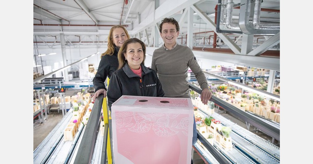 Hoek flowers launches a new sustainable, reusable export box