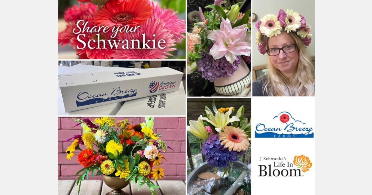 J. Schwanke Explains Why The 'Food' Packet That Comes With Your Cut Flowers  Can Make Them Last Longer