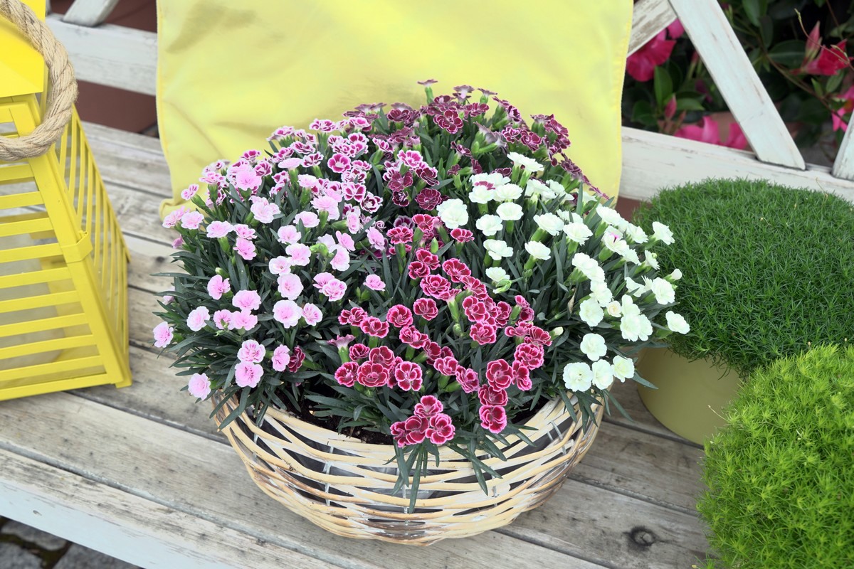 s1.jpg?preset=ContentFullSmall