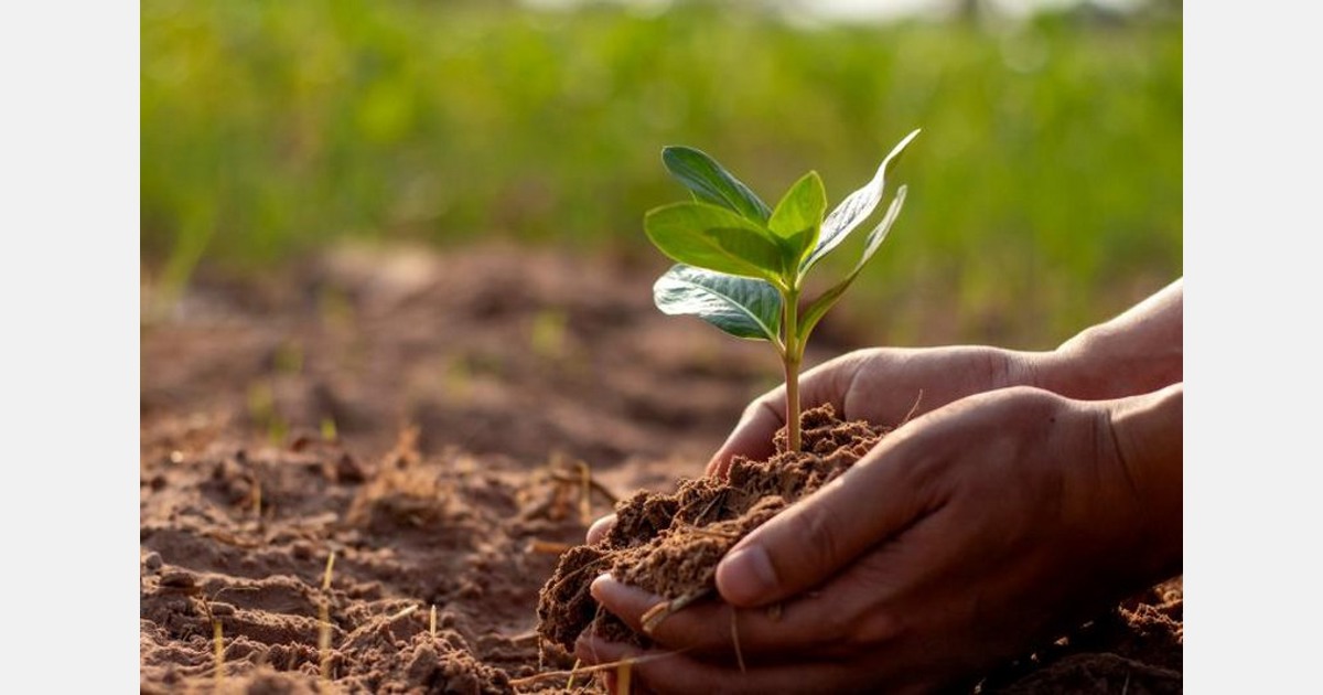 UK: Users of Professional Plant Protection Products reminded to ...