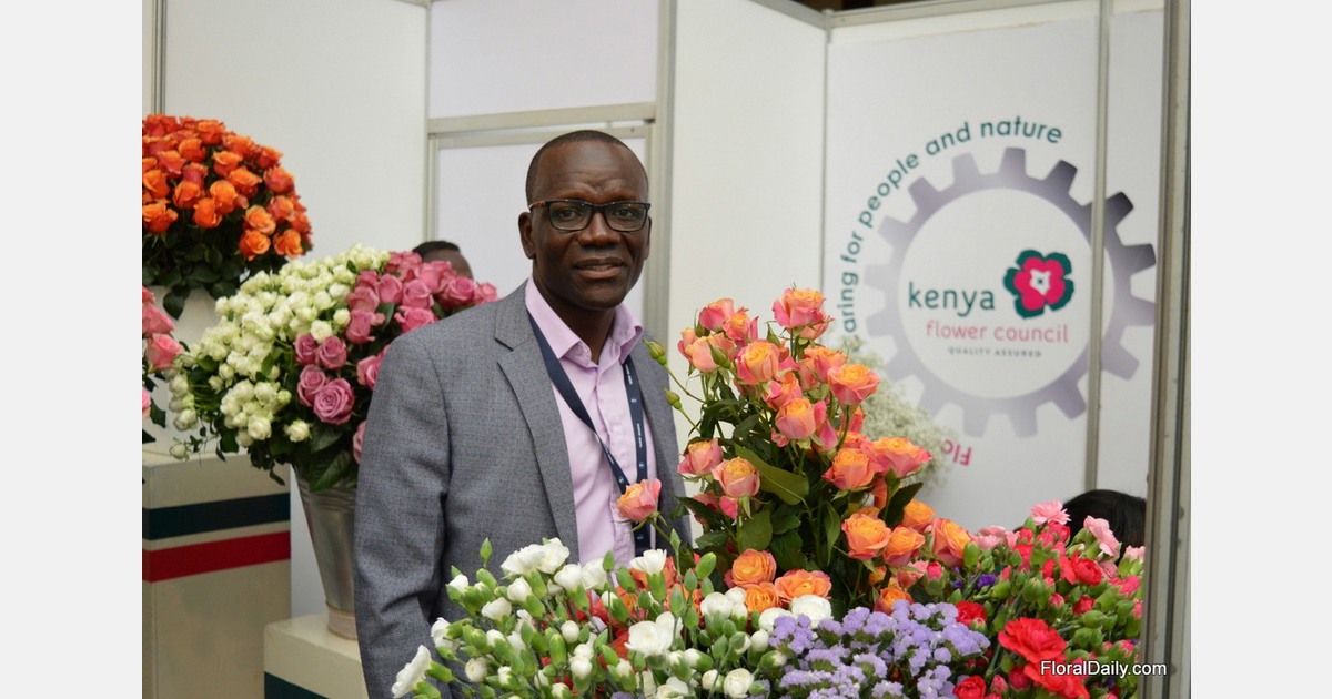 Kenya Flower Council FOSS certification now among Dagab #39 s preferred
