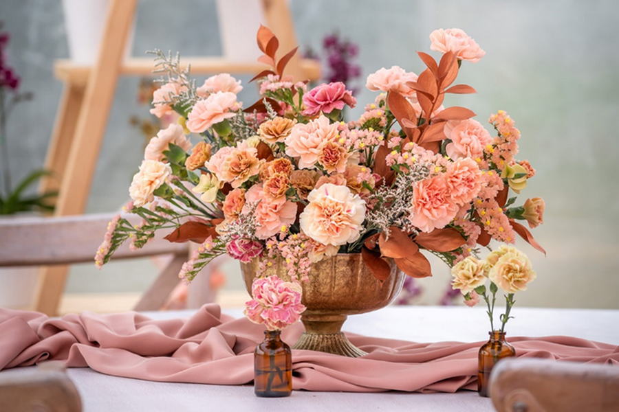 Dümmen Orange showcases varieties on Dianthus Week 2024 in Colombia