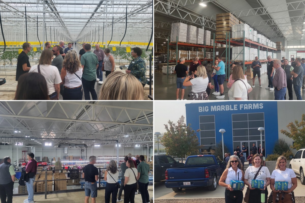 What’s the greenhouse industry like in Medicine Hat and Redcliff, Alberta?