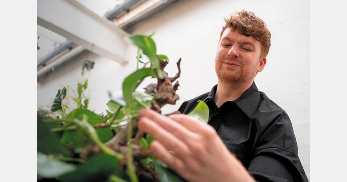 From humble beginnings to floral acclaim