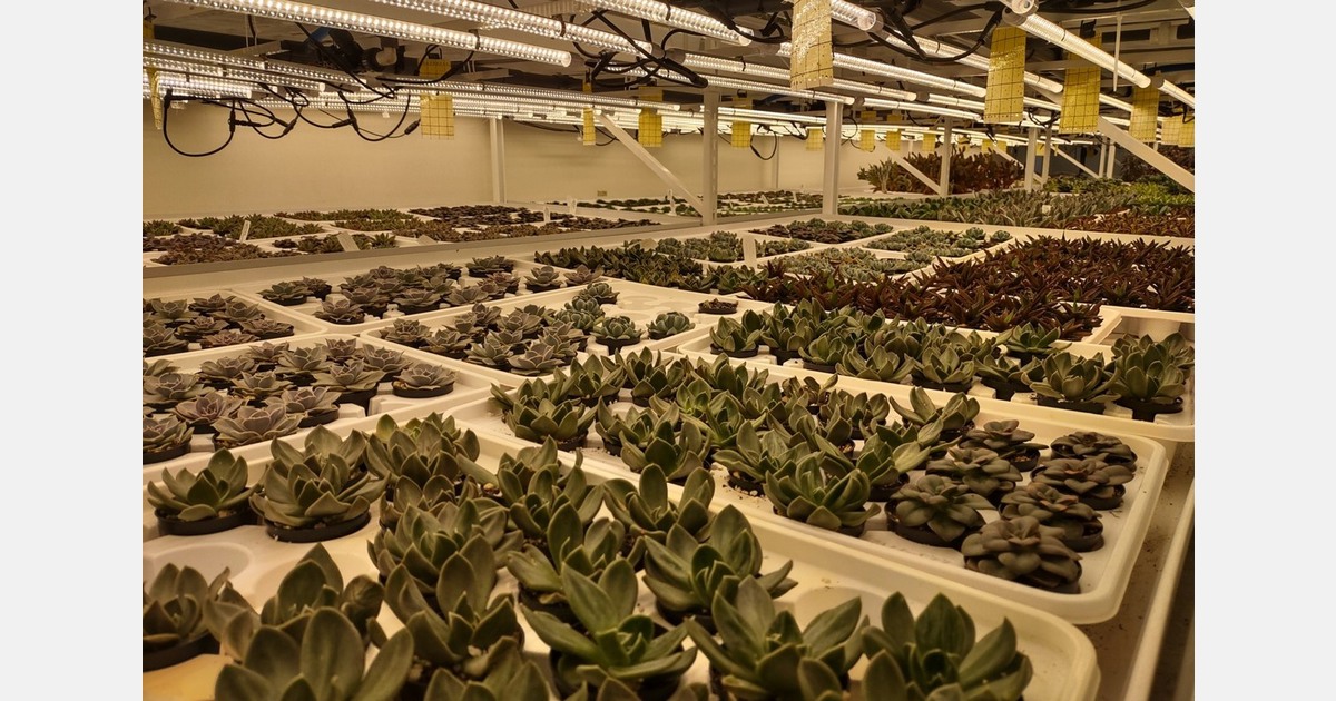 Urban indoor farming meets e-commerce at Montreal-based Cactus en ligne