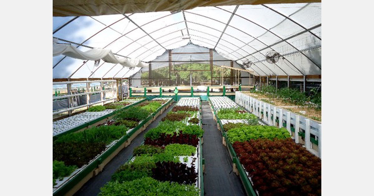 Aquaponics Working With Solar And Photovoltaic Energy