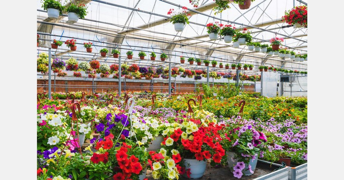 Spanish nurseries produced flowers and plants worth 900 million Euro in