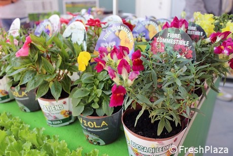 AGF.Models.NewsImage