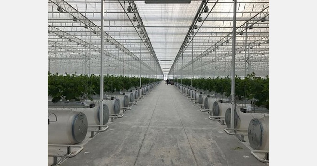 Semi-closed greenhouses equipped with night cooling system