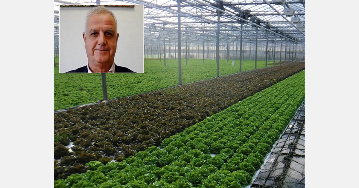 Water and air purification without chemicals