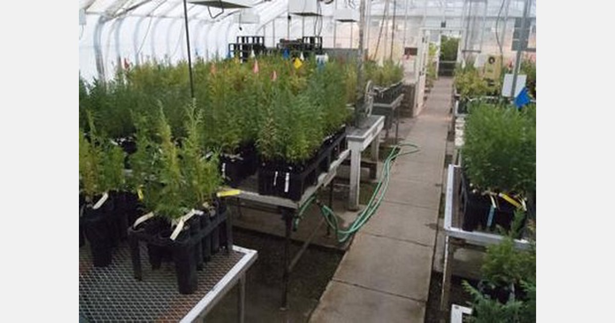 US Campus greenhouse able to grow almost any crop in Oregon