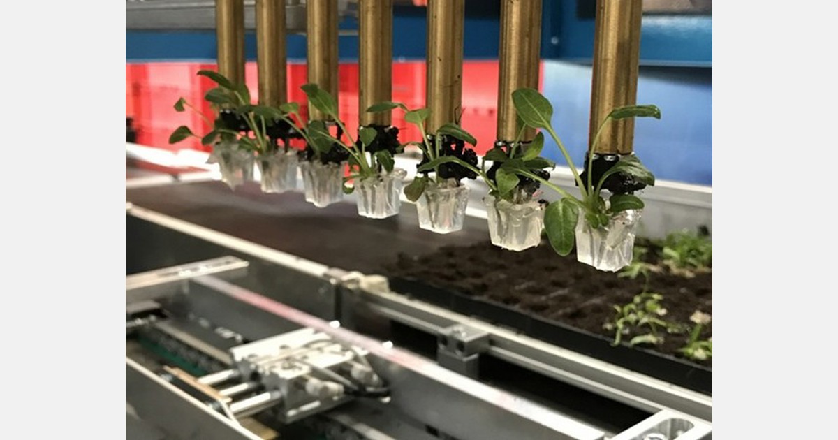 "Tissue cultures can now be planted automatically at a rate of up to