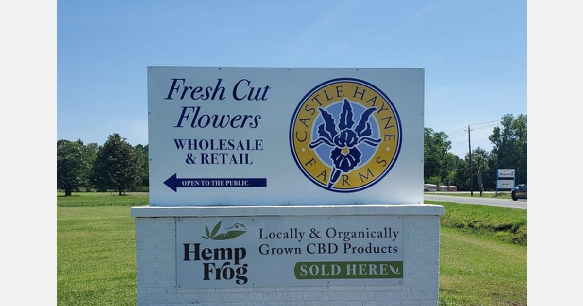 US Cultivating beautiful flowers and greenhouse vegetables at Castle