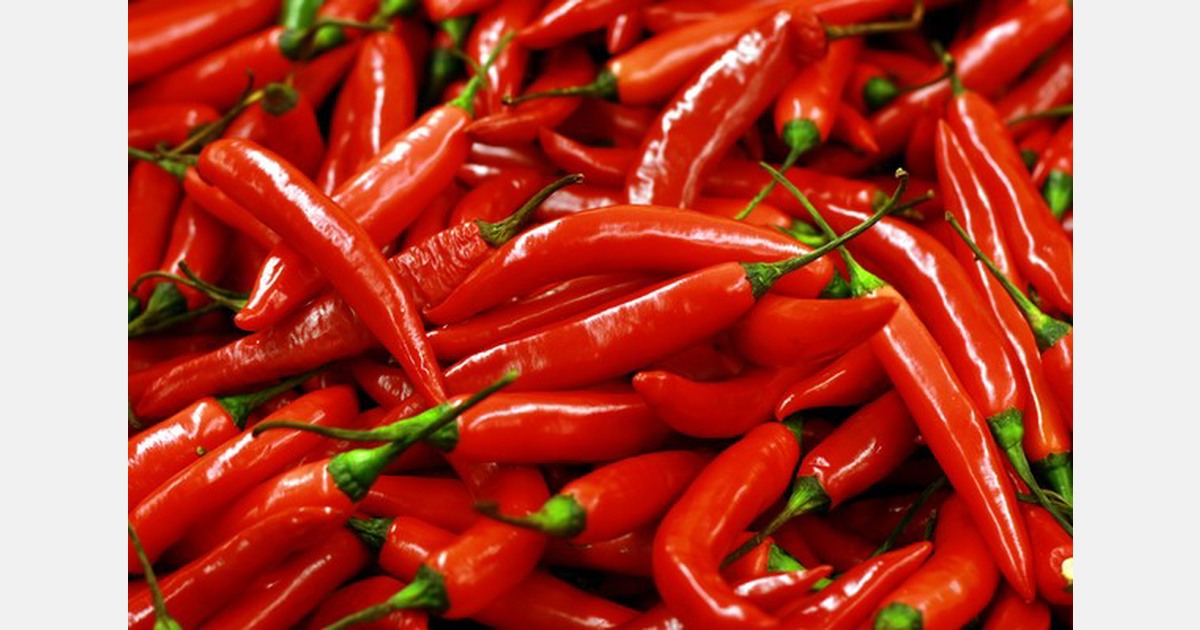 New study reviews anticancer activity of sustained release capsaicin
