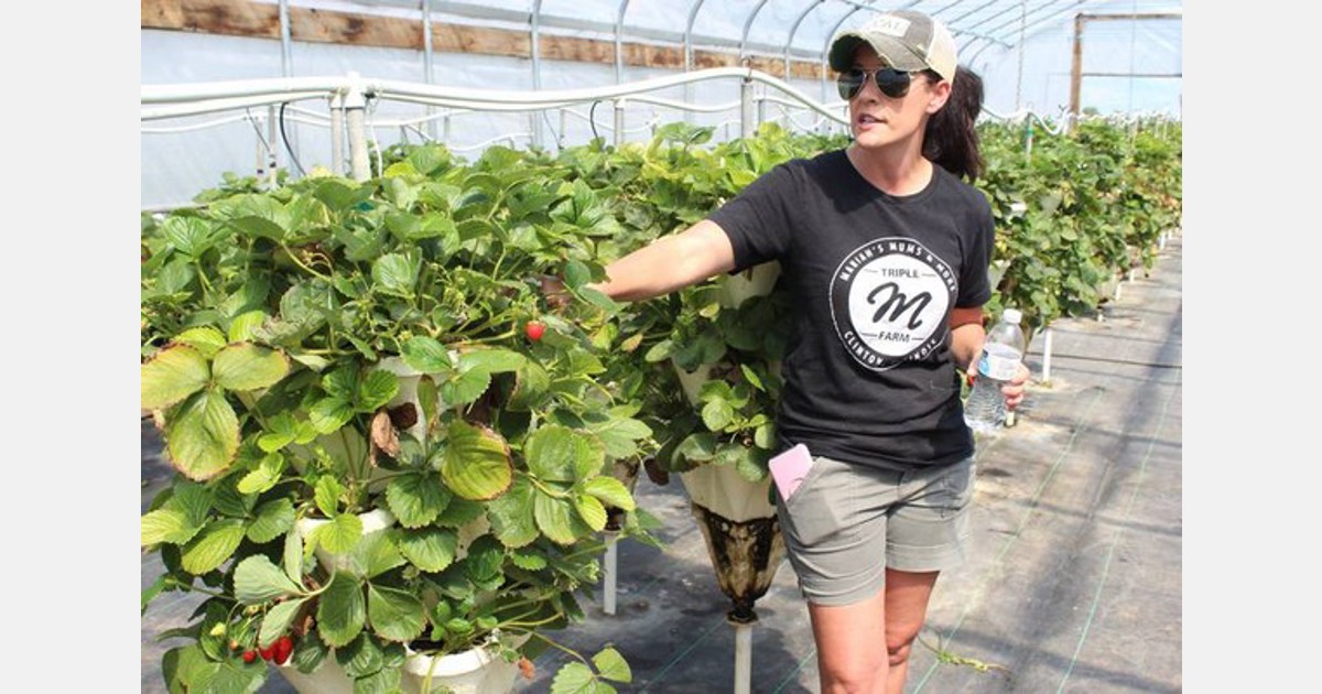 us-il-small-mum-business-blossoms-into-thousands-of-plants-and-strawberries