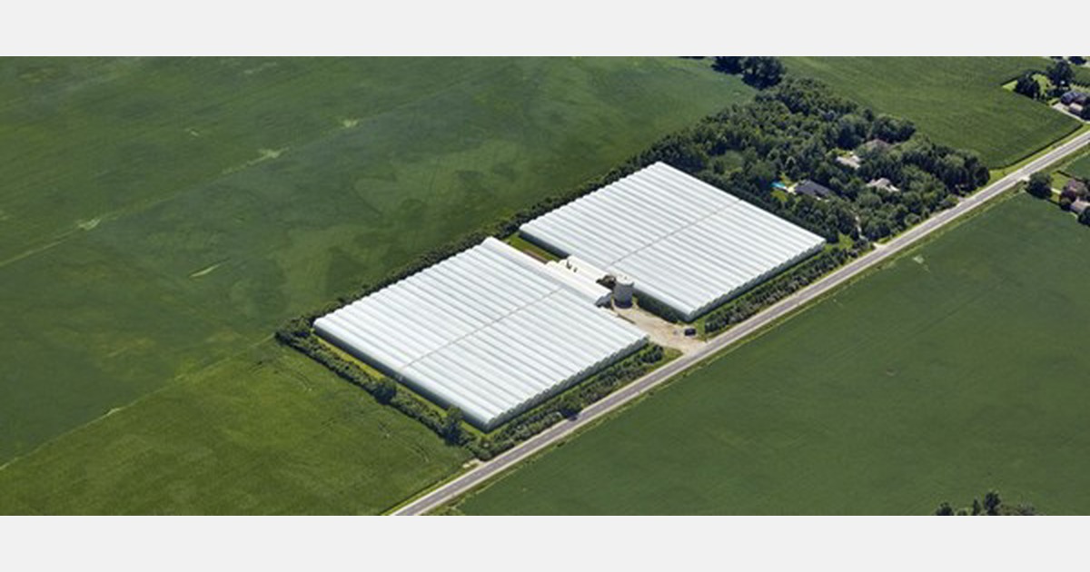 CAN (ON) Greenway Vegetable greenhouse acquisition opportunity