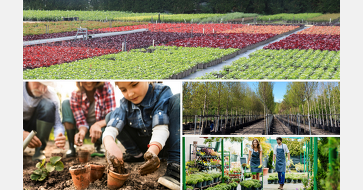 UK The horticultural industry warns of plant shortages for UK
