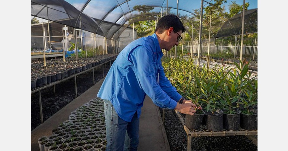 USDA expands insurance for nursery growers to all States
