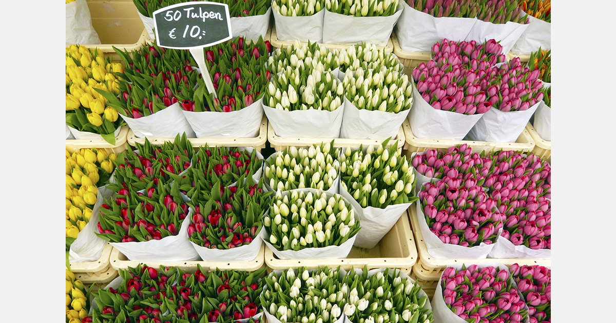 Flower prices in Kazakhstan have surged by 8% over the past year