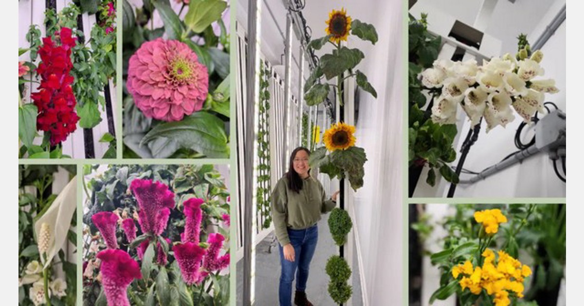 Edible Flowers: Vertical Farming's Blossoming Enterprise - Kroptek Blog
