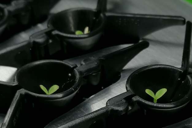 دستگاه تکثیر و پرورش گیاه در یک