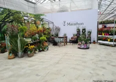 The booth of Marathon Plants