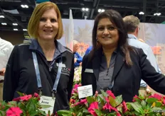 Anne Leventry and Saima Husain with PanAmerican Seed, standing behind the Magenta Bliss. First interspecific impatiens from seed. A break through in breeding. First of its kind- solar scape. It takes sun and has exceptional performance in the landscape