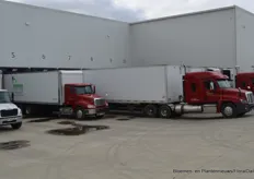 At the loading dock, the typical North American trucks are waiting for a new freight.