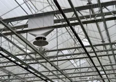 Vertical fans optimize the greenhouse climate.