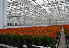 Roller screens separate the greenhouse departments.