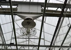 The fans allow drier air from above the screens to be blown into the greenhouse for energy savings and the creation of an optimal growing climate.