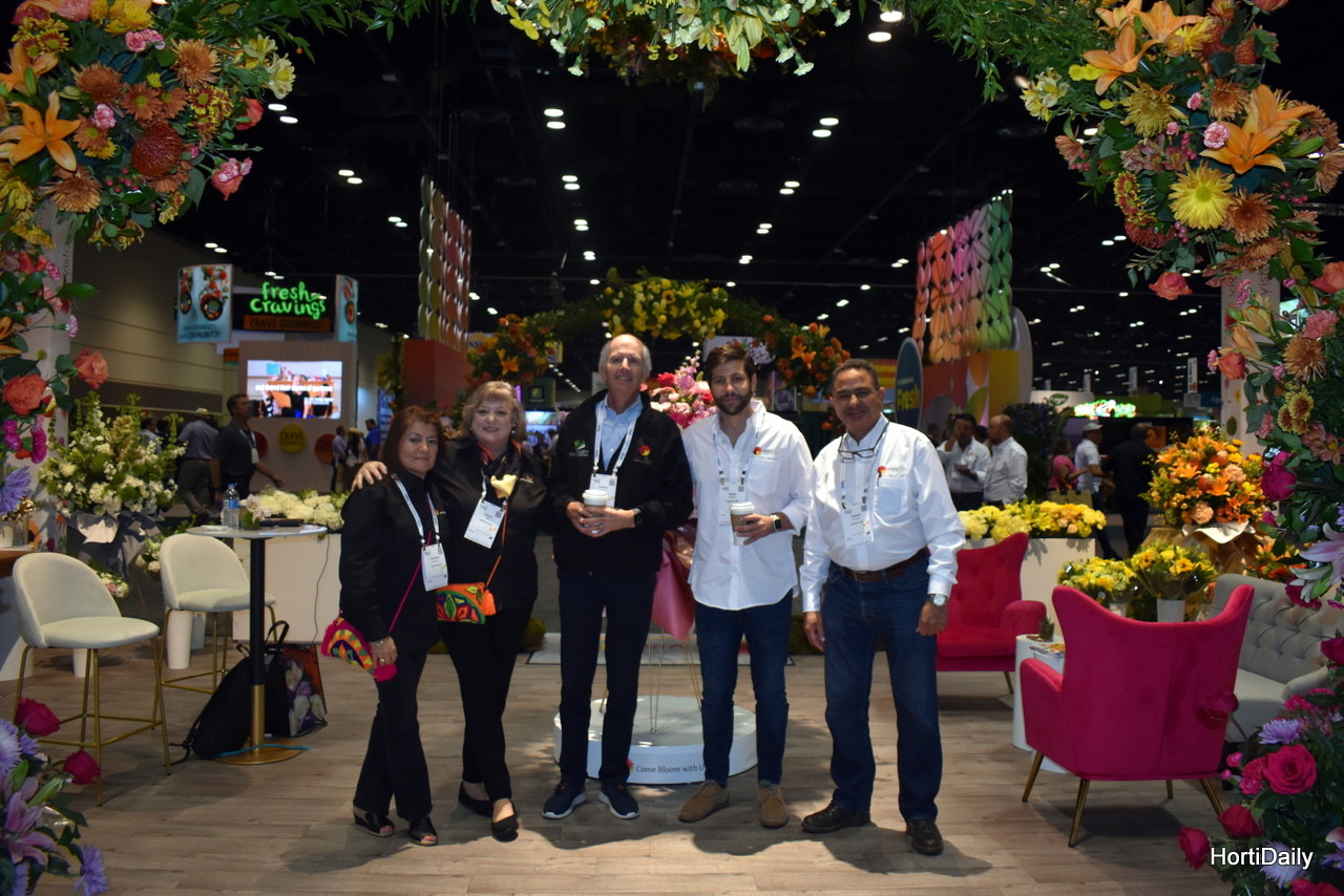 Vistaflor Flowers Best Flower Site