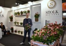 Mike Rijnsburger of Stolk Brothers holding one of his latest specialties, Anthurium Zizou.