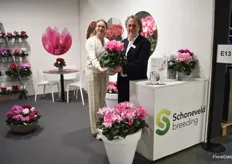 Suzanne Spelbrink and Gianfranco de Leo of Schoneveld Breeding. They are holding Leopard, a heat tolorant cyclamen, bred in Israel. Also, in the pot on the ground, a pre-introduction, namely Fusion. A bi-tone colored cyclamen with large flowers.