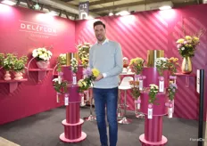 Arjan van der Burg of Deliflor holding 2 disbud chrysanthemum varieties that are popular in Italy and grow well in warmer climates.