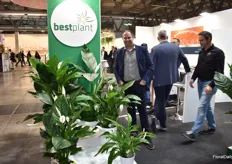 Patrick Zuidgeest of Bestplant. This Dutch spathiphyllum grower is exhibiting at this show since the very beginning meeting his Italian clients.