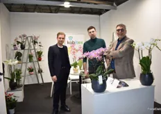 The teaming Kobitex, a Dutch company that exports all kind of plants and flower o Italy.
