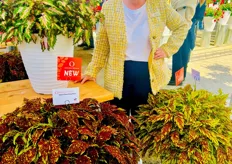 New Coleus Down Town from Dümmen Orange, compact, sun tolerant, great colors/patterns/textures and presented by Rebecca Siemonsma, what's not to love?