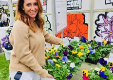 Jacki Armstrong from Express with Pansy Delta Pro. The best grower solution in Pansies. Industry leading, 5-day bloom window for maximum uniformity for easy production.
